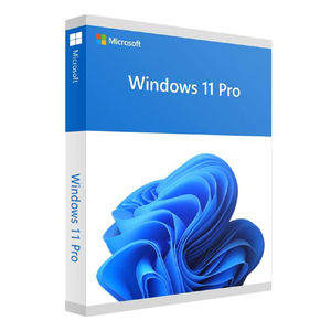 Microsoft Windows 11 Professional OEM USB 64-bit English 